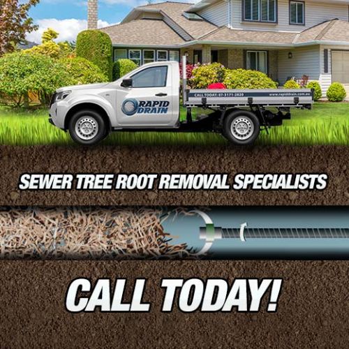 Sewer Tree Root Removal Specialists In Pinklands